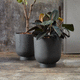sandstone plant pot / round / home / sand