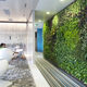 preserved green wall / modular-panel / natural / indoor