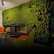 green wall with live plants / natural / moss / indoor
