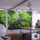 preserved green wall / modular-panel / natural / foliage
