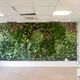 preserved green wall / modular-panel / natural / foliage