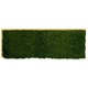 preserved green wall / modular-panel / natural / indoor