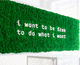 lichen green wall / preserved / custom / indoor