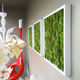 preserved living frame / moss / indoor / modular-panel