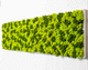 preserved living frame / moss / natural / indoor