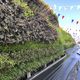 green wall with live plants / custom / curved / natural