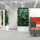 preserved green wall / modular-panel / natural / indoor