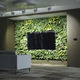 preserved green wall / natural / foliage / indoor