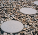 stepping stone