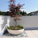 fiber cement planter / round / contemporary / for public space