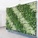 preserved green wall / with live plants / natural / indoor