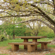 contemporary table and bench set / wooden / outdoor / for public space