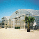 commercial greenhouse / commercial production / even-span / multi span