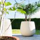 terracotta plant pot / free-standing / spherical / home