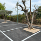 cork flooring / marble dust / resin / for outdoor use
