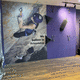 fixed climbing wall / for public building / indoor