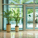 glass-reinforced plastic plant pot / freestanding / tubular / for domestic use