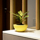 glass-reinforced plastic plant pot / countertop / round / commercial