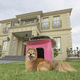 carbon fiber doghouse