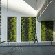vertical garden with live plants / custom / modular-panel / natural