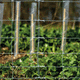 knotted wire fencing / for green spaces / alloy / contemporary