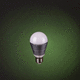 LED bulb / incandescent