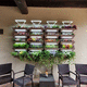 vertical garden with live plants / custom / flower / indoor