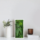 preserved living frame / moss / foliage / flower
