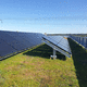 flat roof green roof / with integrated photovoltaic system