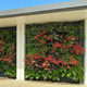 green wall with live plants / natural / flower / indoor