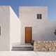 entry door / solid wood / wood veneer / steel