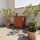 wooden compost bin / garden