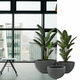 fiberglass plant pot / concrete / round / UV-resistant