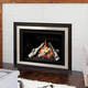 propane fireplace insert / natural gas / contemporary / remote-controlled