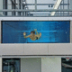 acrylic panel / for swimming pool / for underwater window / PMMA