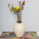 marine vase / plastic / wall-mounted / floor
