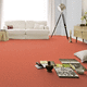 tufted carpet / polyamide / velvet / commercial