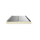 roof sandwich panel / 2 metal faces / Polyisocyanurate PIR core / high-resistance