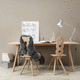 contemporary dining chair / indoor / wooden / wooden base