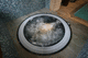 built-in hot tub / round / 6-person / overflow