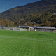 synthetic grass / roll / for sports fields