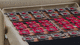 double mattress support / disc spring / home