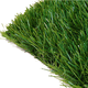 artificial grass / roll / for soccer fields