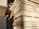 construction wood panel / for ceiling / wall / for roof