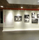 modular partition / mobile / laminate / MDF