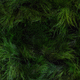 preserved green wall / modular-panel / natural / indoor
