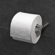 wall-mounted toilet paper dispenser / stainless steel