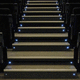 LED light module