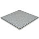 calcium sulfate raised access floor / indoor / for hotel