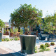 steel planter / square / round / double